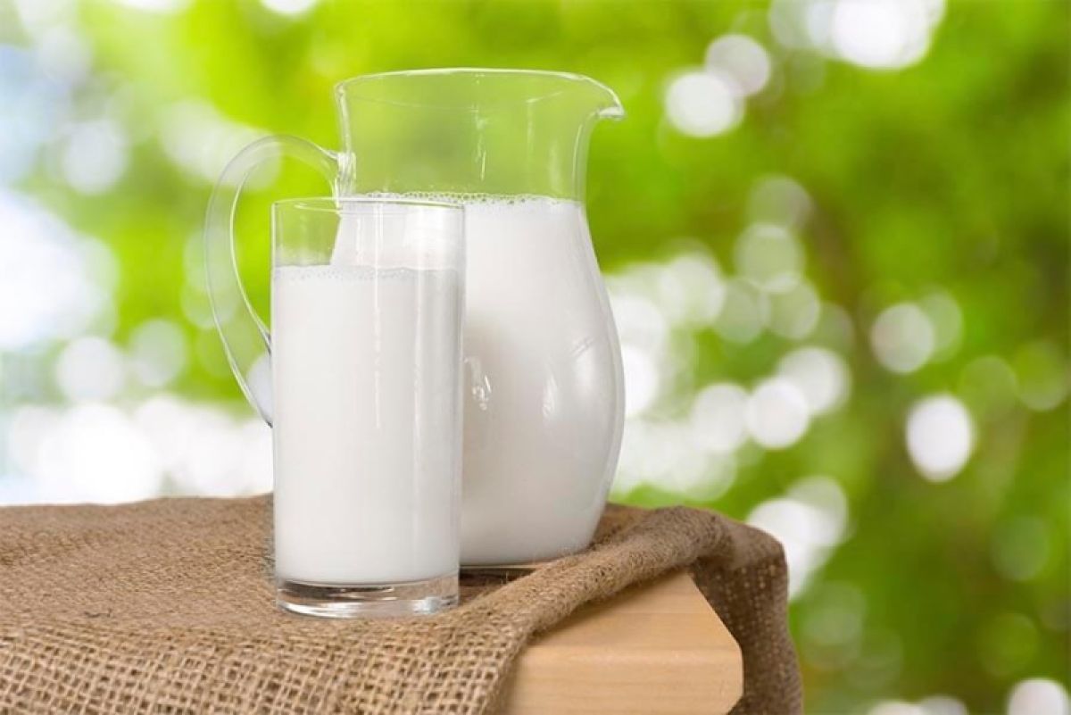Šljukić: Ne možemo više izdržati, cijene mlijeka i mliječnih proizvoda moraju poskupiti