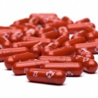 Japan odobrio Fajzerovu antikovid pilulu