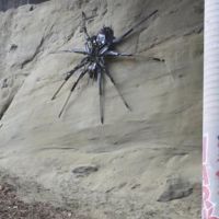 VIDEO – Traži se nova lokacija za ogromnu skulpturu pauka, izmješta se iz bezbjednosnih razloga
