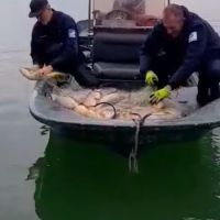 (VIDEO) Krivolovci zatečeni na jezeru, pa pobjegli