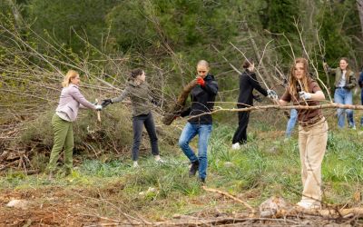 Uspješno realizovana akcija prikupljanja biljnog otpada na brdu Gorica