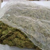 Hrvat i Crnogorac osumnjičeni da su krijumčarili preko 305 kilograma marihuane