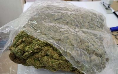 Hrvat i Crnogorac osumnjičeni da su krijumčarili preko 305 kilograma marihuane