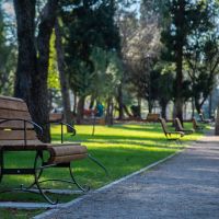Ulažu preko tri miliona u nove parkove, drvorede u Podgorici