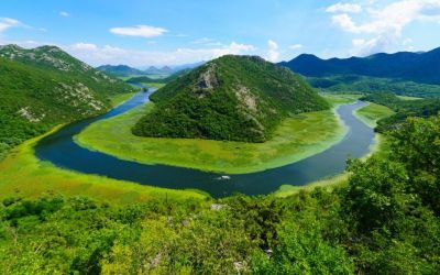 Prijave protiv četiri osobe zbog nezakonitog ribolova na Skadarskom jezeru