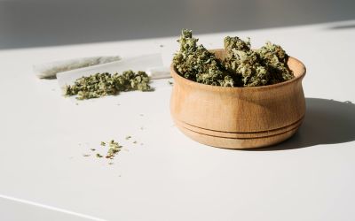 Djevojka iz Srbije uhapšena u Podgorici zbog marihuane