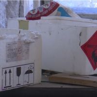 Berane: Opasne hemikalije u fabrici celuloze prijetnja po ljude i životnu sredinu