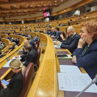Zdenka Popović na forumu u španskom Senatu