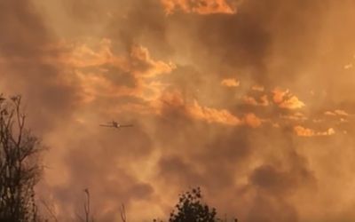 Ugašen požar na lokalitetu Grbavci – Bolje sestre, izbačeno 39 tona vode iz aviona