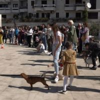 FOTO – Prva izložba pasa mješanaca u Herceg Novom: Prema “najboljem čovjekovom prijatelju” pokazati više odgovornosti