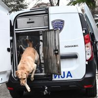 Djevojčica (14) nestala u Skoplju, odmah pokrenuta potraga