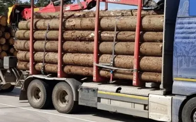 Berane: Uvoze drvnu građu jer je nema u Crnoj Gori