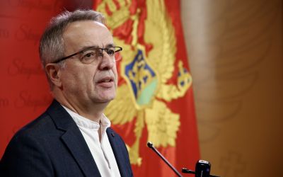 Danilović: Ako DF želi da se skrati mandat Skupštini i raspišu prijevremeni izbori neće biti sami