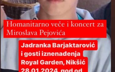 Humanitarno veče u Nikšiću za pomoć dječaku Miroslavu Pejoviću