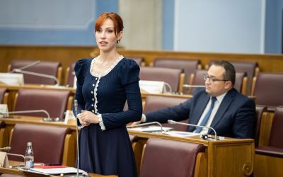 Vojinović: DPS sumnja da građani sa dvojnim državljanstvom glasaju u Crnoj Gori jer su to decenijama dozvoljavali