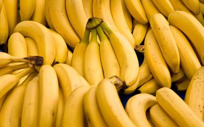 U Norveškoj pronađen kokain u gajbama za banane