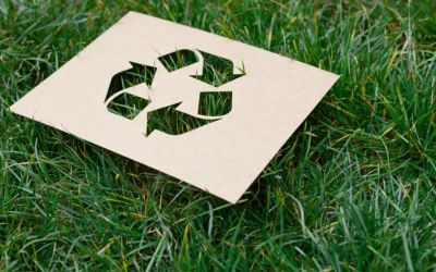 Ekološka akcija u ponedjeljak u Podgorici: “Planetu našu pazi, učestvuj u reciklaži”