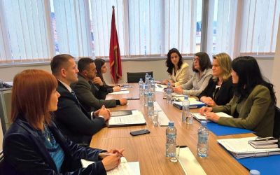 Šćepanović i Braun o sprečavanju torture i prevenciji zlostavljanja u postupanju policijskih službenika