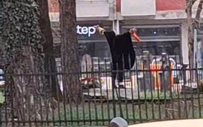 Uhapšena žena na Cetinju: Vrištala i pela se po grobnicama Vlaškog groblja