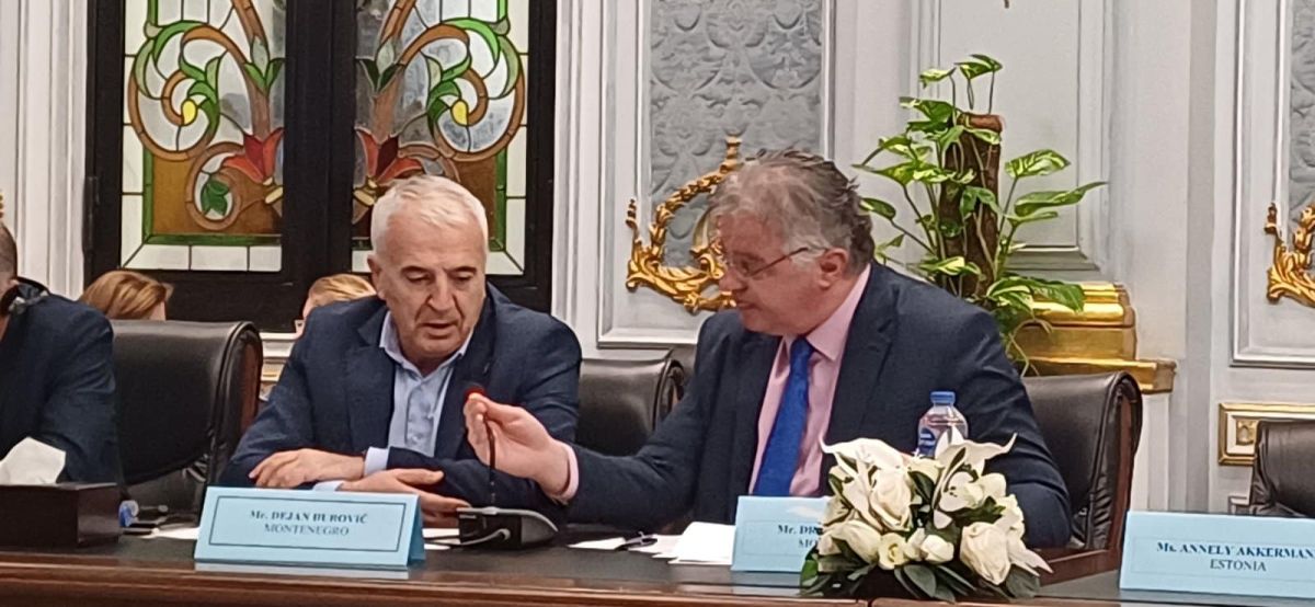 Đurović i Bojović na sjednici Interparlamentarne skupštine pravoslavlja, pozvali rukovodstvo u Podgoricu