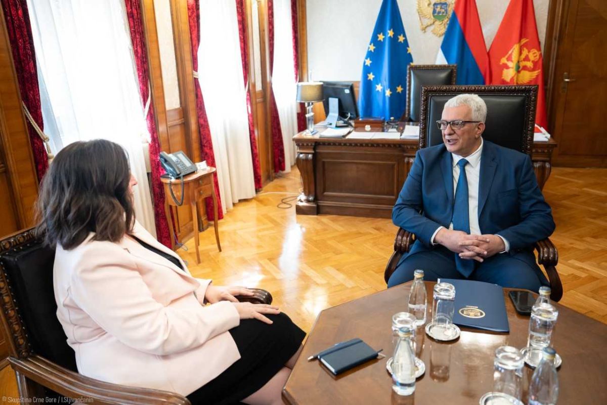 Mandić: Nismo ni na pola mandata, a usvojii smo više od 150 zakona