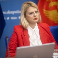 Nedović podnijela ostavku na članstvo u Odboru za bezbjednost i odbranu