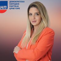 Todorović: Predsjedništvo DNP-a donijeće odluku o nastupu na izborima u Budvi