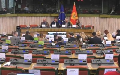 Poslanici EP jednoglasni: Crna Gora da pristupi EU tokom trenutnog saziva Evropskog parlamenta