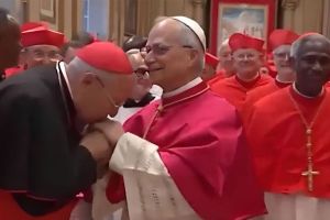 Zašto je novi papa izabrao ime Lav